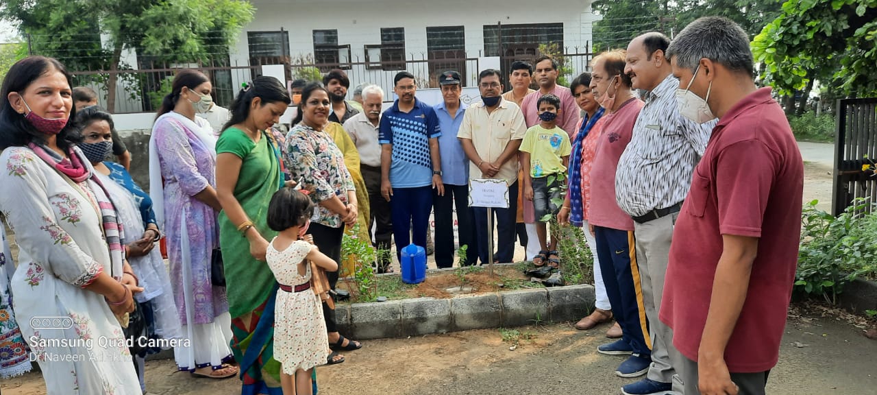 Tree plantation & Poster making competition