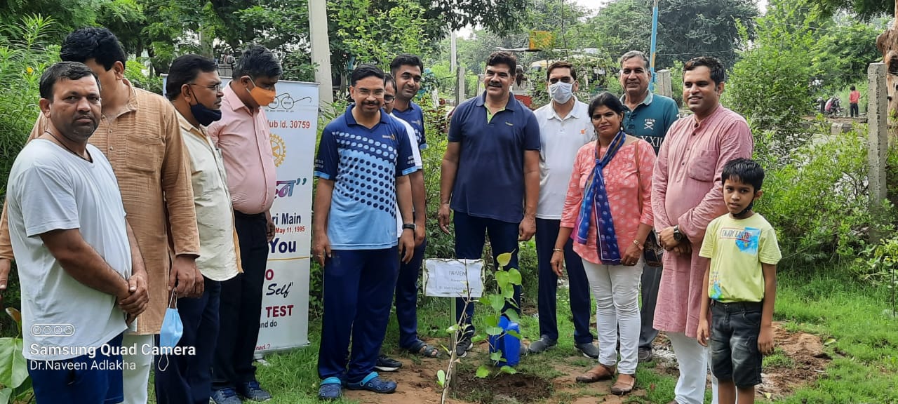 Tree plantation & Poster making competition