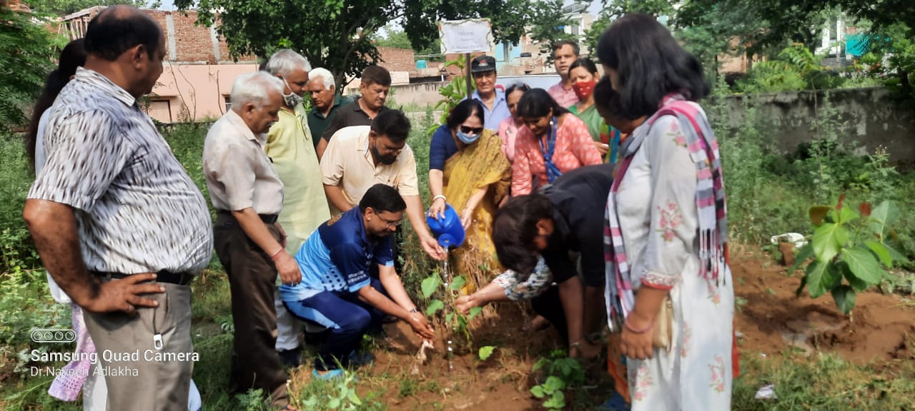 Tree plantation & Poster making competition