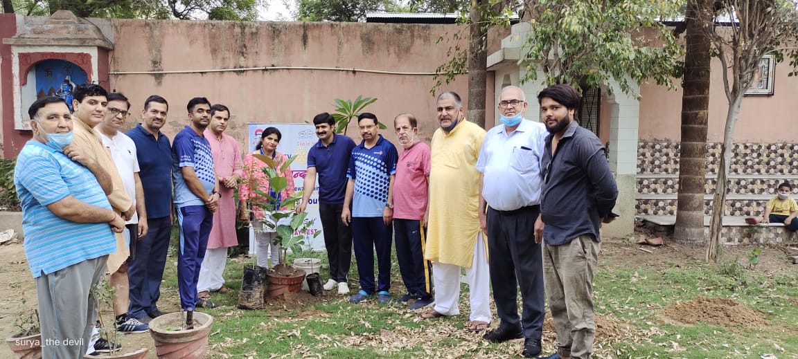 Tree plantation & Poster making competition