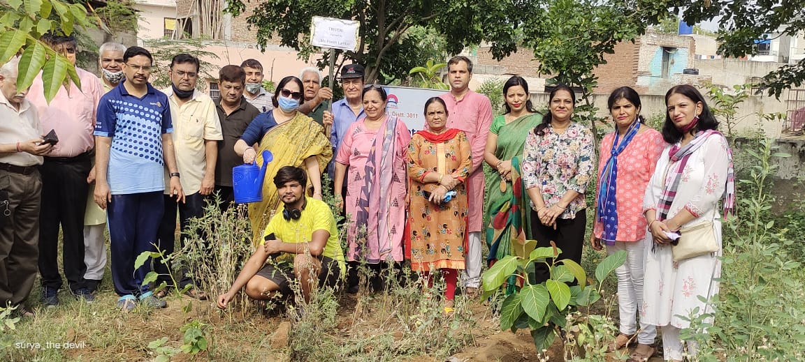 Tree plantation & Poster making competition