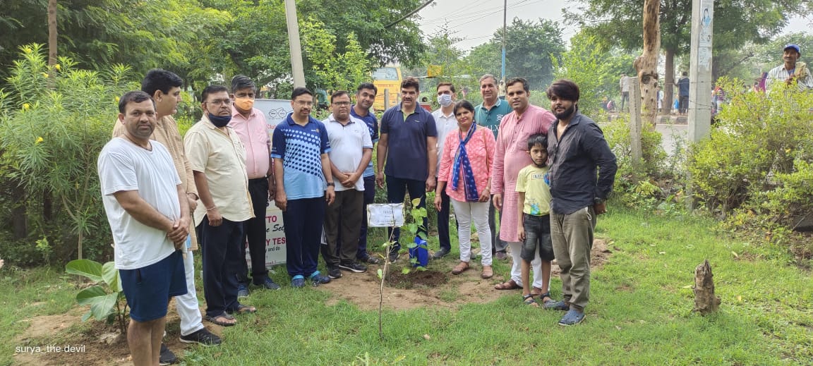 Tree plantation & Poster making competition